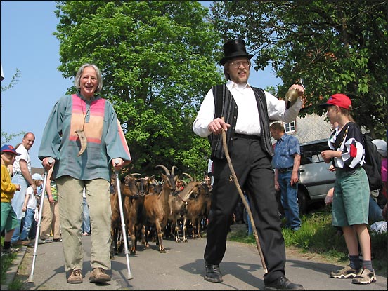 Ziegenaustrieb Ziegenaustrieb