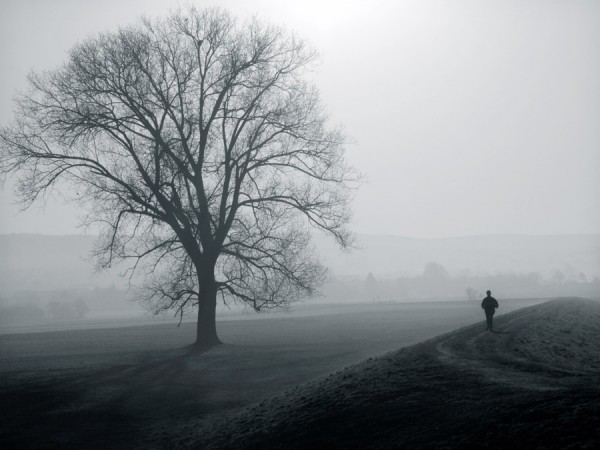 deichmorgennebel
