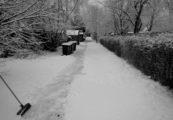 schneeweg