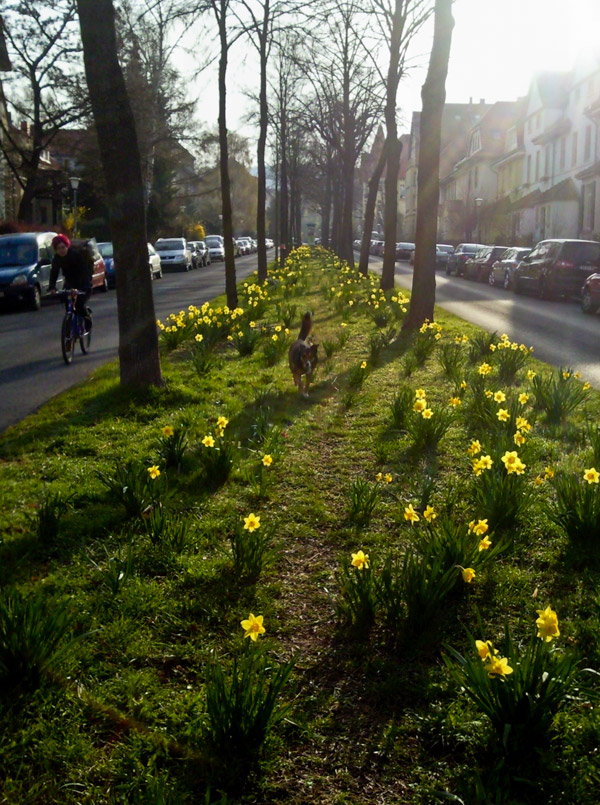 schillerstr