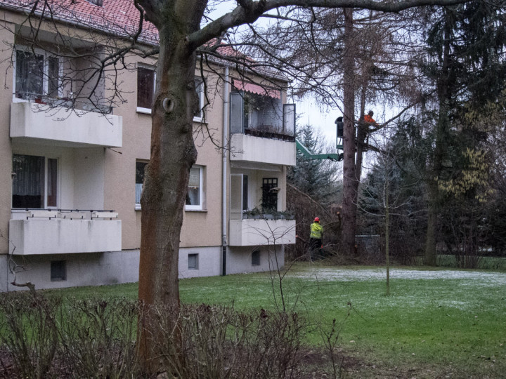 2013-01-11-093724