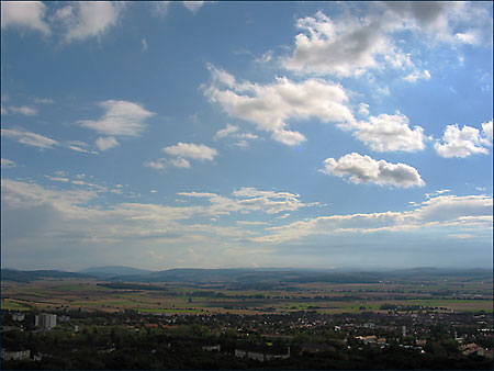 Göttinger _Pflanze
